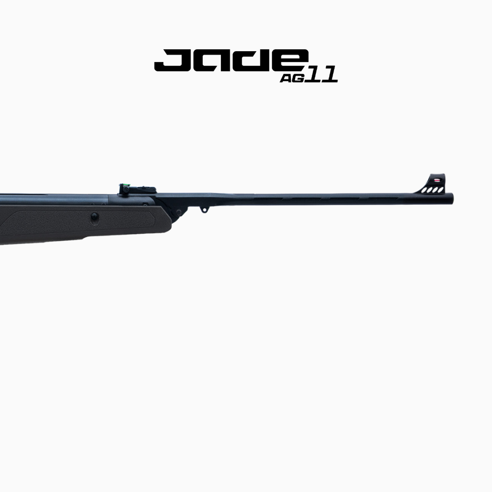 Carabine à plombs Jade AG11 4,5 mm Nitro Piston 8,6 J vue complète