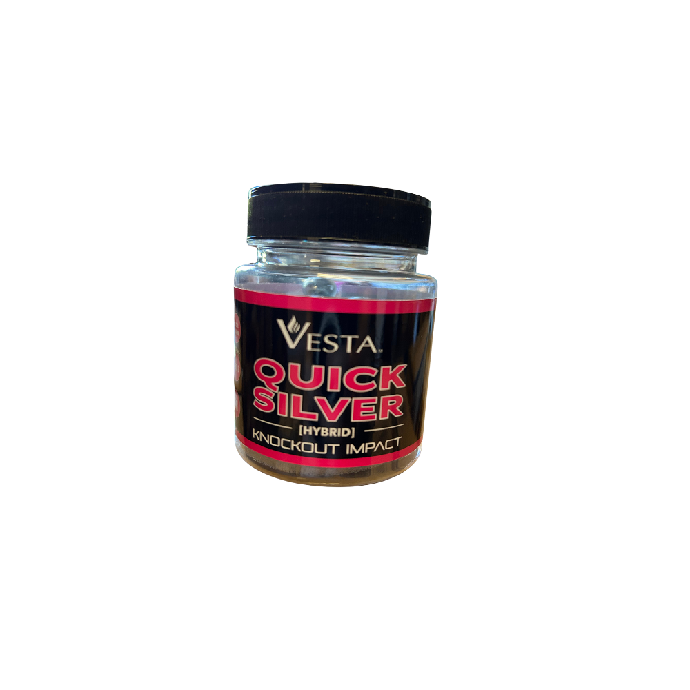 Balles VESTA QUICK SILVER Cal.68