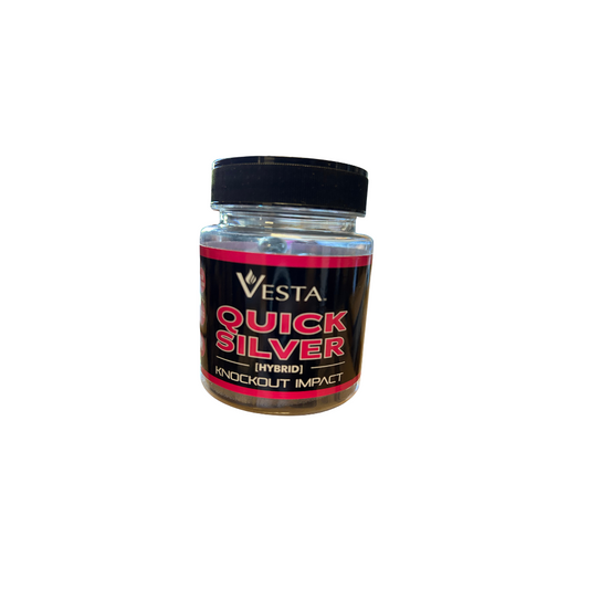 Balles VESTA QUICK SILVER Cal.68