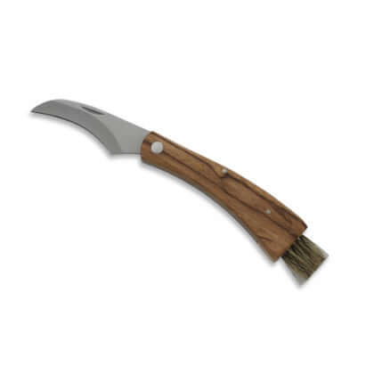 Couteau à champignon manche Bois Lame 6cm avec pinceau sur fond blanc